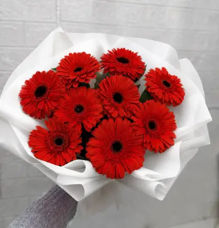 Букет из 9 красных гербер
