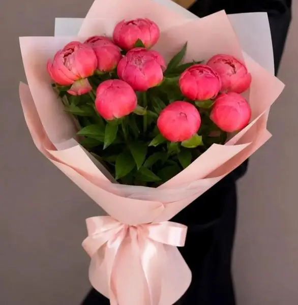 Коралловый закат